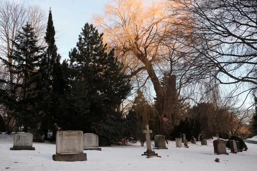 Snow-covered cemetery with scattered headstones and a large leafless willow tree lit by low sun.