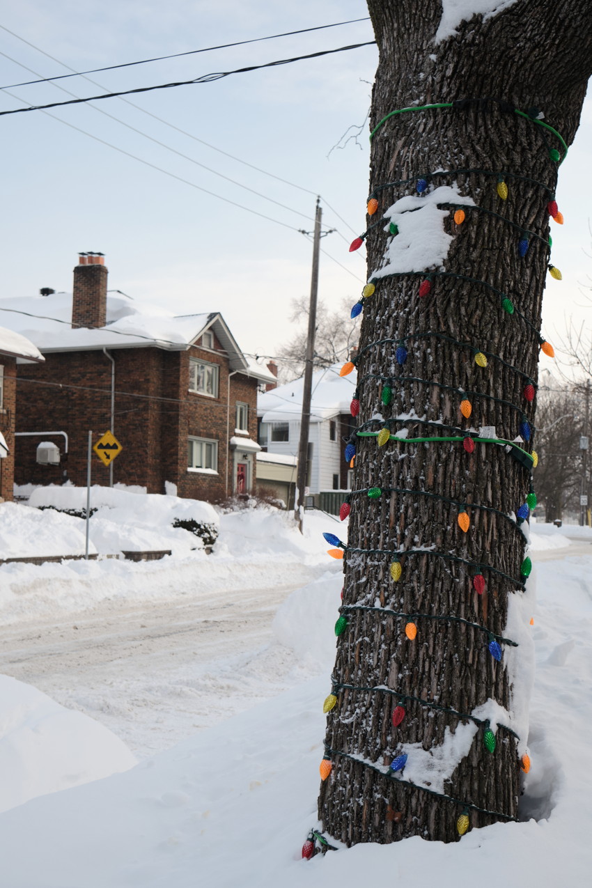Close-up of a tree trunk wrapped in multicolored string lights on a snow-covered residential street.
