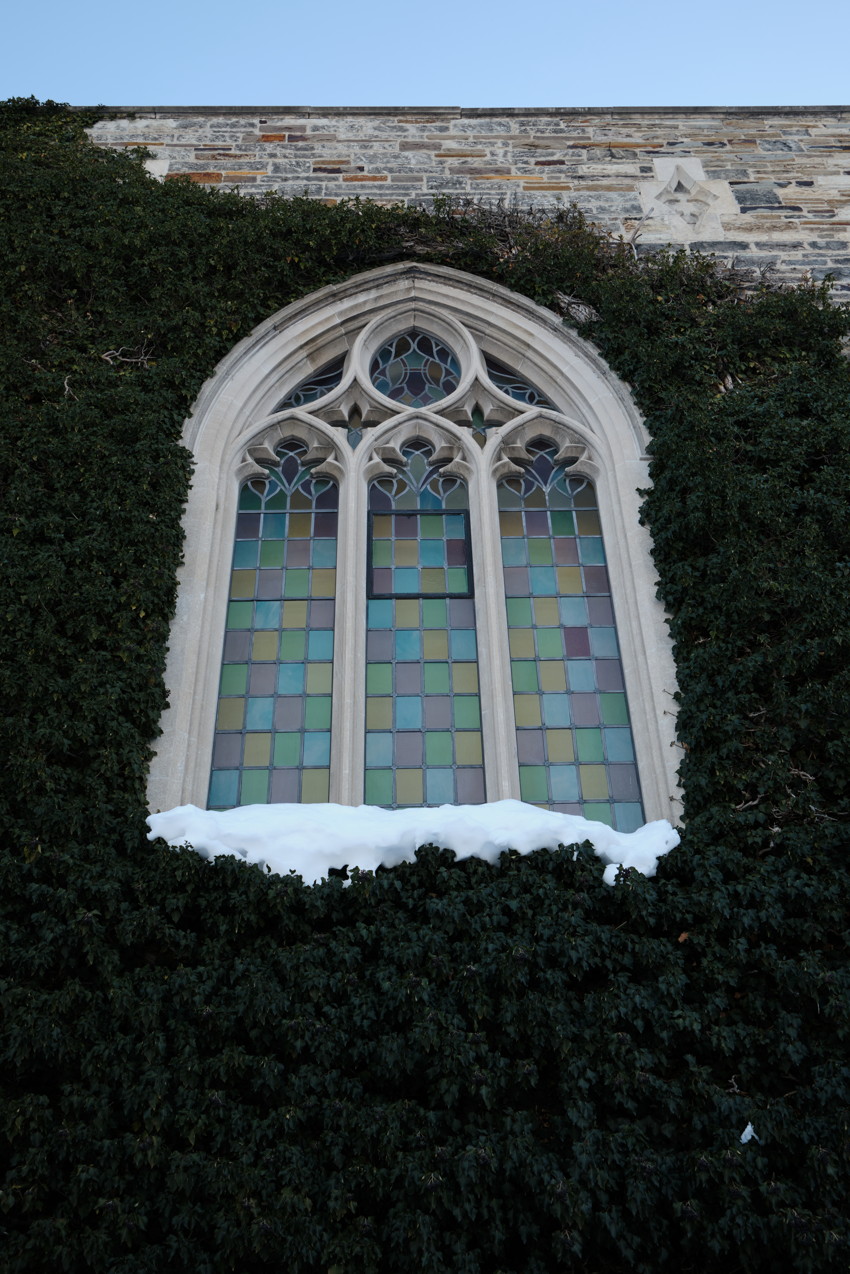Gothic arched stained-glass window with multicolored square panes, stone wall framed by dark ivy and a snow ledge.