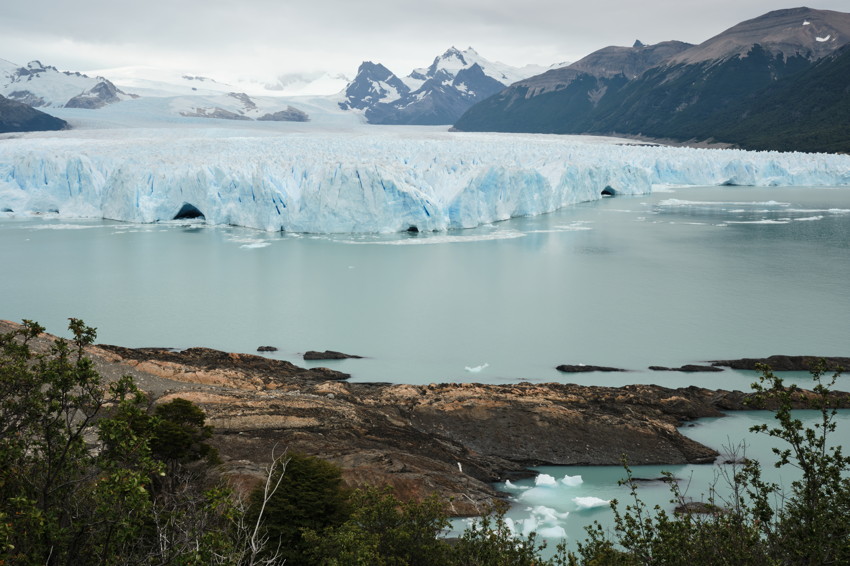 Blue glacier front across milky turquoise lake, rocky shoreline and low shrubs in foreground, mountains beyond.