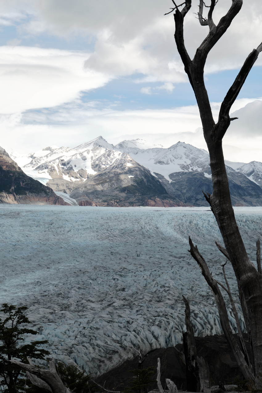 Dead tree trunk at right, glacier midground, snow-covered mountains and cloudy sky in background.
