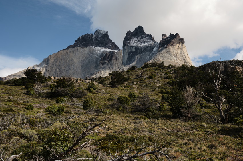 Grassy shrub-covered slope with scattered trees leading to jagged granite mountain peaks partly snow-capped under a cloudy sky.