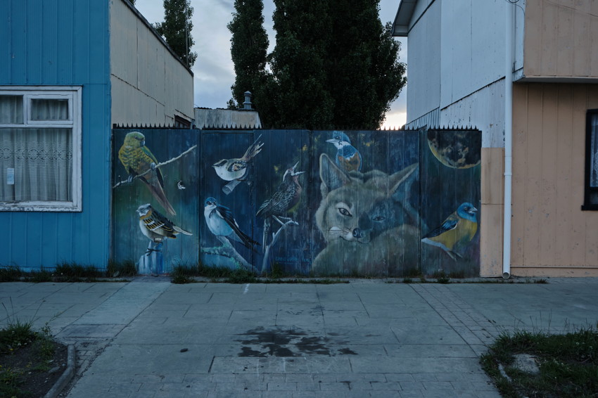 Wooden fence mural of multiple birds and a fox head between two small buildings, paved foreground.