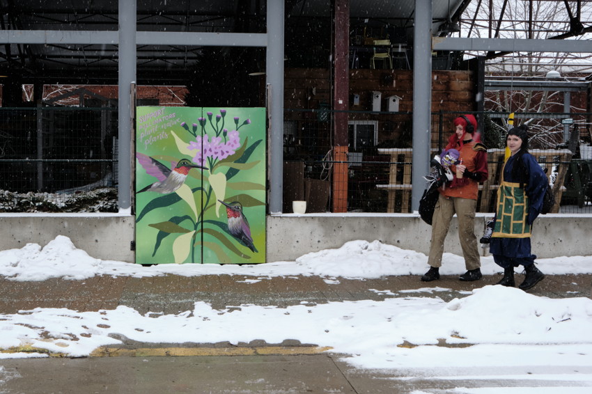 Snowy sidewalk with green utility box painted with hummingbirds and flowers left; two people walking right.
