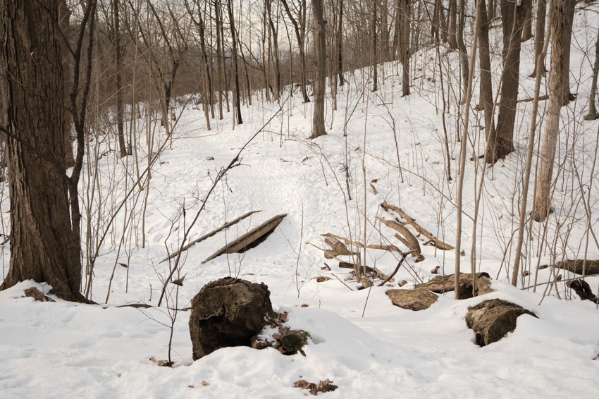 Snow-covered forest slope with bare trees, fallen logs and a foreground tree stump, narrow path of footprints.