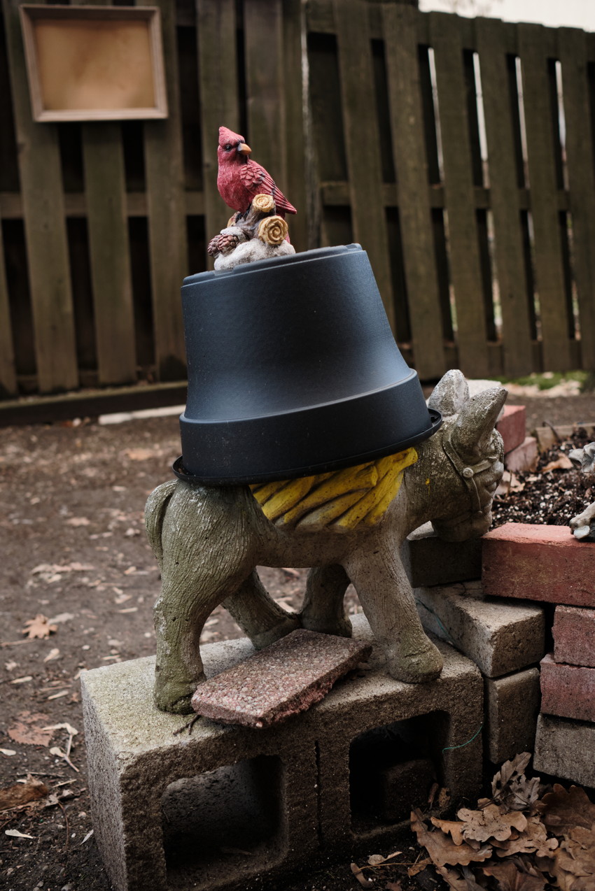 Garden stone animal statue with overturned black pot on its back and red cardinal figurine on cinderblocks.