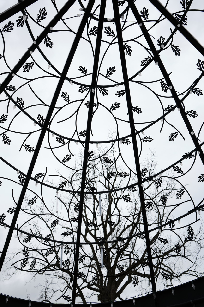 Upward view of ornate metal dome with leaf motifs and bare tree branches visible through radial iron ribs.