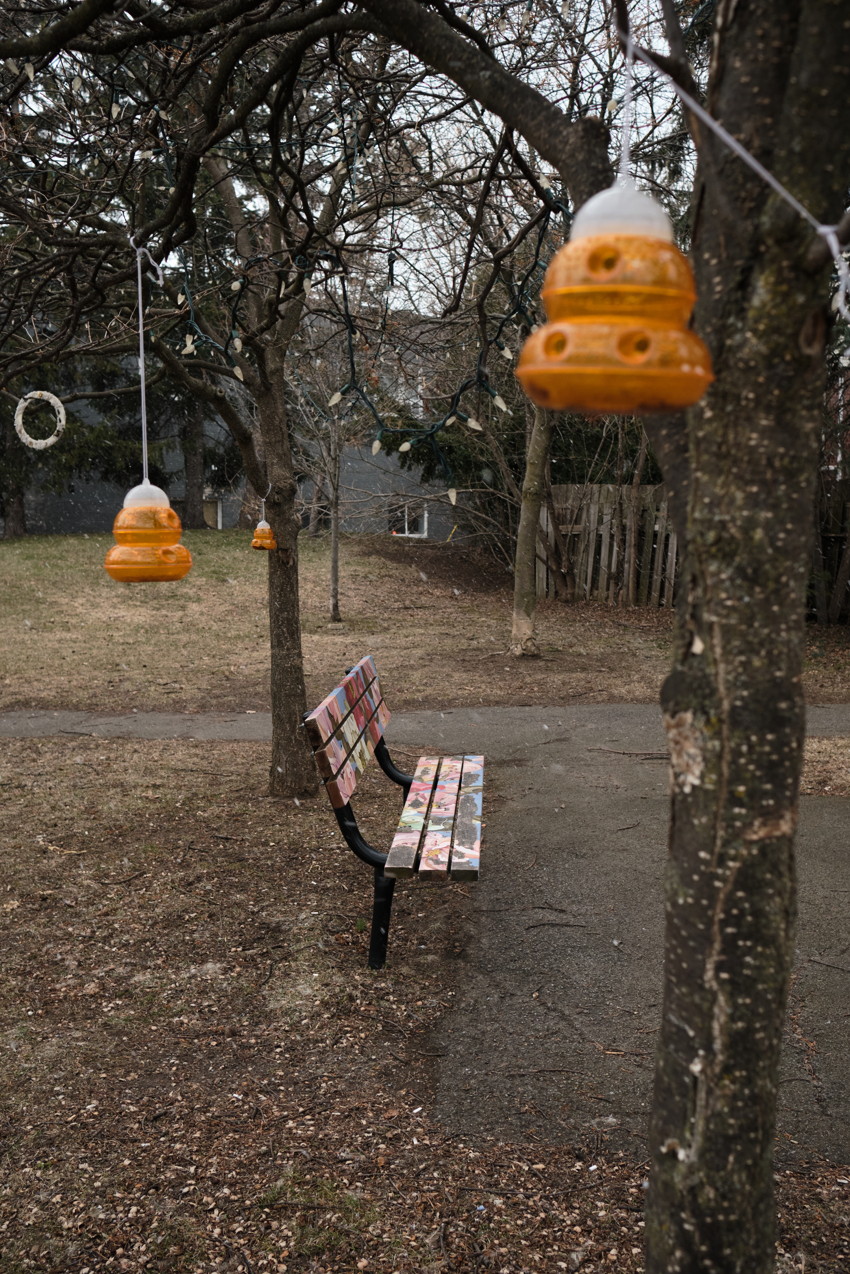 Park bench with painted slats beneath leafless trees, three hanging orange ceramic lanterns along path.