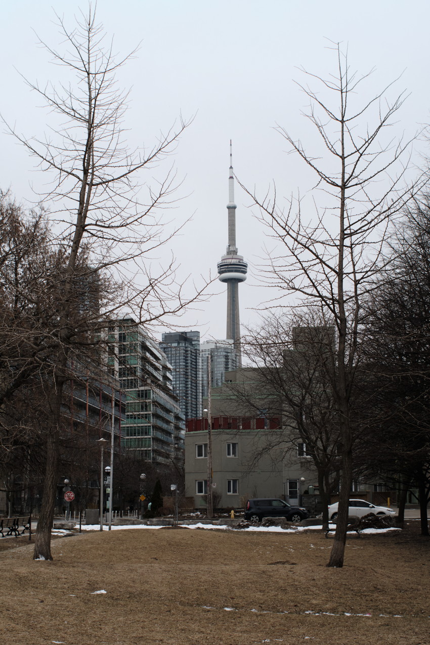 CN Tower centered between leafless trees, midground low-rise building and modern condos, patchy snow on lawn.