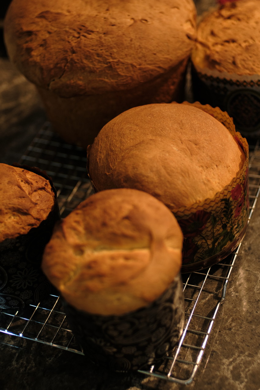 Close-up of five round baked loaves in patterned paper molds cooling on a metal wire rack.