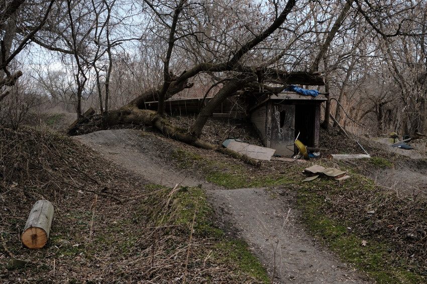 Leafless woodland with dirt-bike jumps and earthen mounds in foreground, fallen log left, small graffitied shelter under a leaning tree