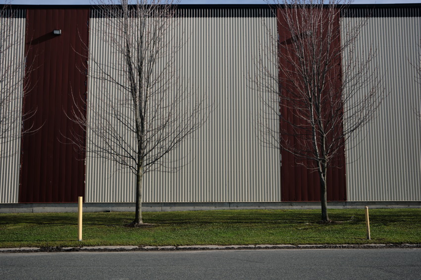 Corrugated metal industrial wall with two vertical red panels, two leafless trees, grassy strip, curb and road.