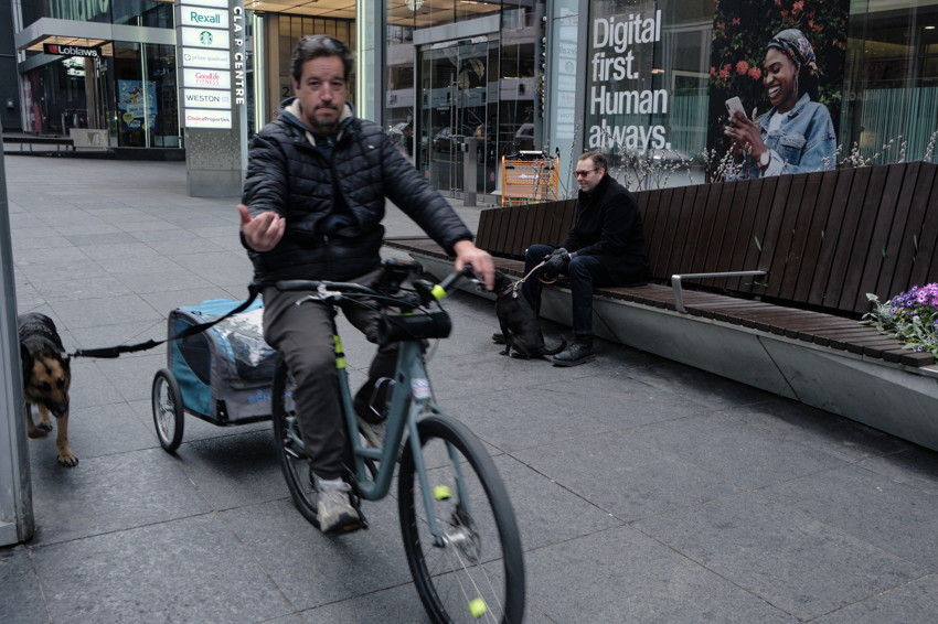 Bicyclist towing a covered trailer with a dog, passing a bench where a seated man holds another dog in an urban plaza.