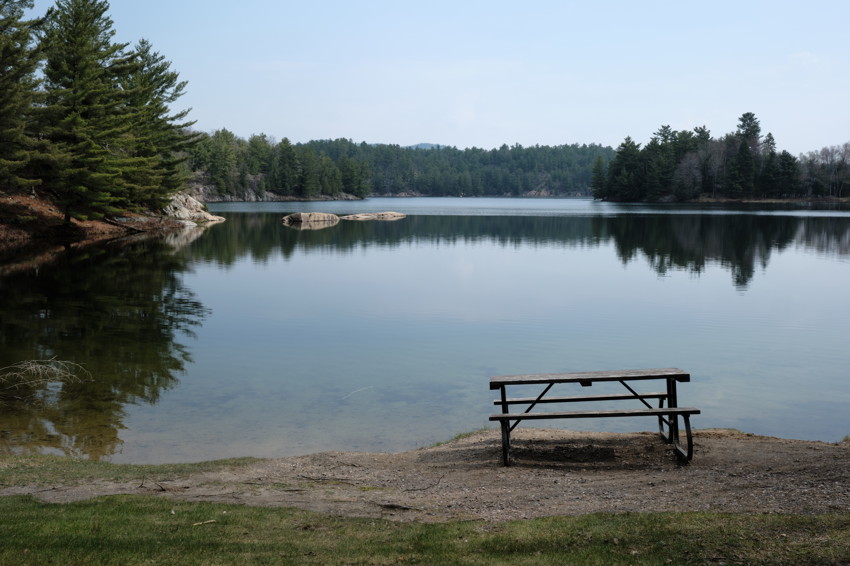Wooden picnic bench on sandy shore facing a calm lake with distant treeline and reflected pines.