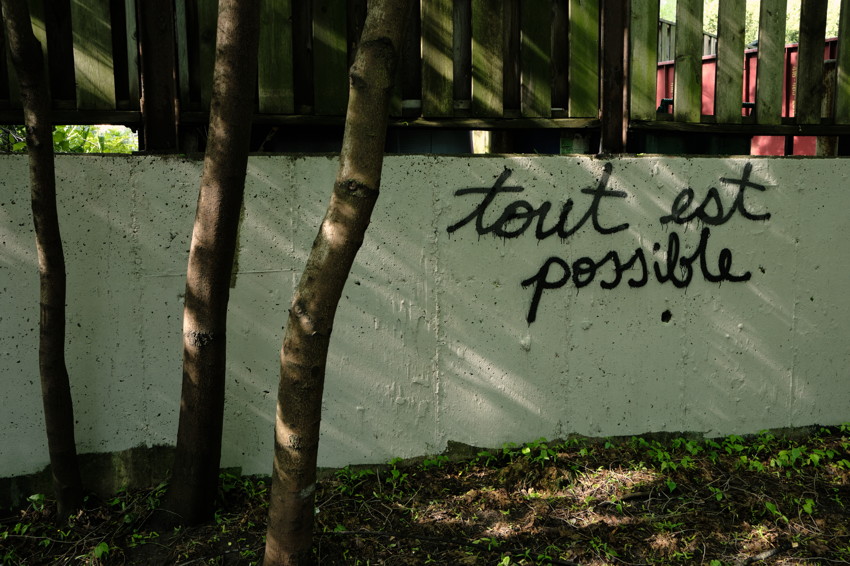 Concrete wall with black graffiti 'tout est possible', three tree trunks and fence above.