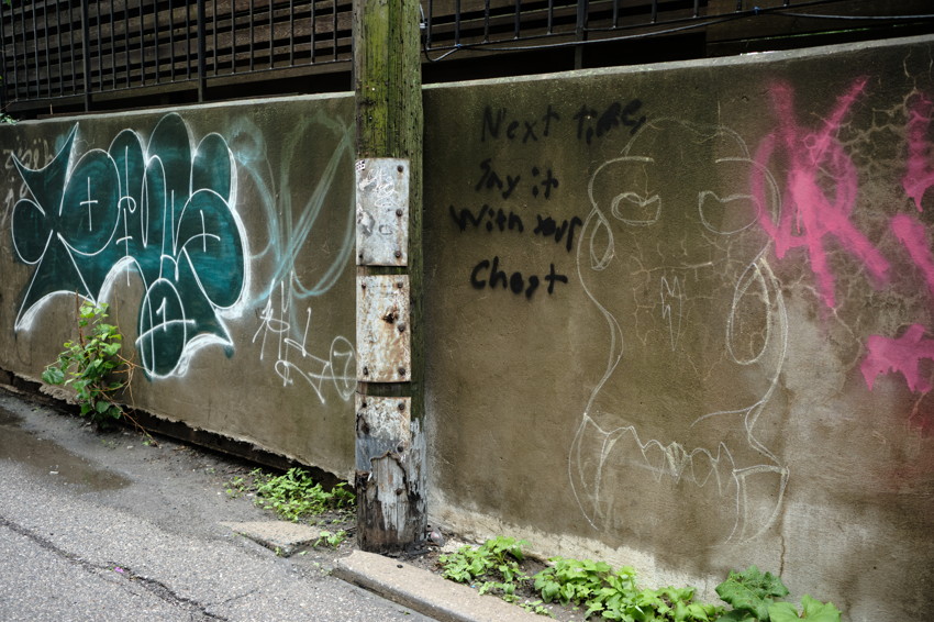 Concrete alley wall with graffiti, wooden utility pole center-left, chalk skull drawing, pink tag, small plants at base.
