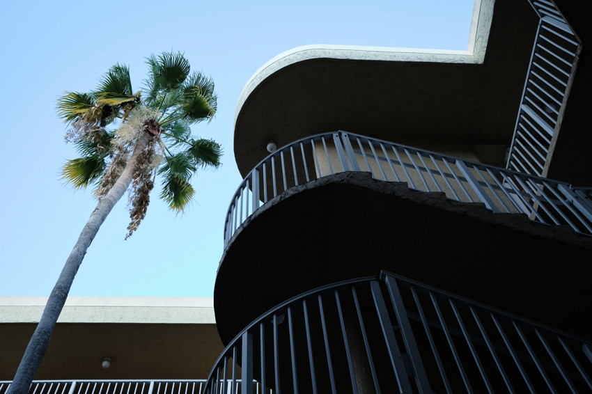 Low-angle view of curved apartment balconies with metal railings beside a tall palm tree against blue sky.
