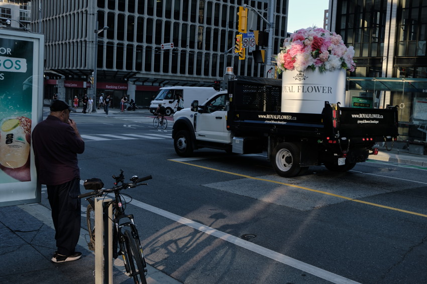 City intersection with flatbed truck carrying large white container of pink flowers, man standing by bicycle.