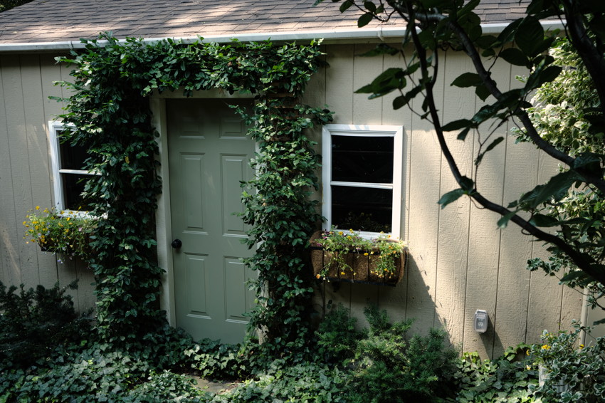 Green door framed by climbing vines on a beige house, with two windows and flower boxes.