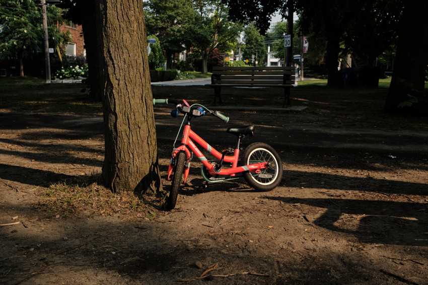 Red children's bicycle leaning against a large tree in a shaded park, with bench and residential street behind.