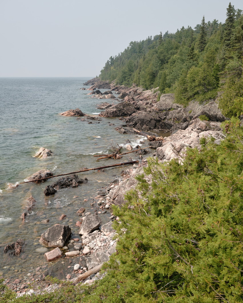Rocky shoreline with scattered driftwood and pebbles, clear water, dense evergreen forest rising along the coast.
