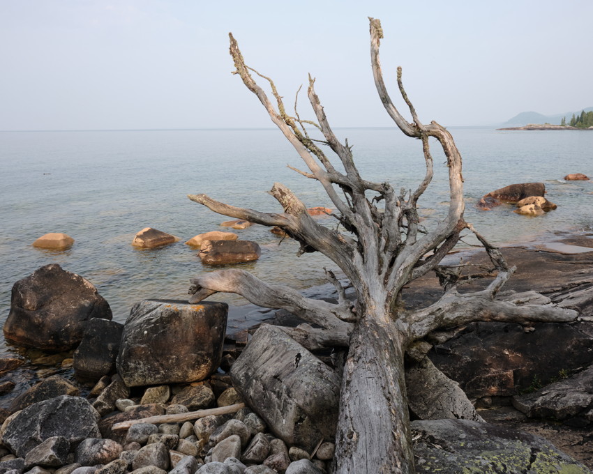 Weathered driftwood trunk and branches on rocky shoreline, boulders and calm lake extending to distant coast.