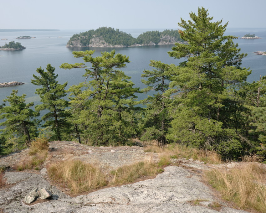 Rocky shoreline foreground with dry grasses, pine trees midground, calm blue lake with forested islands in background.