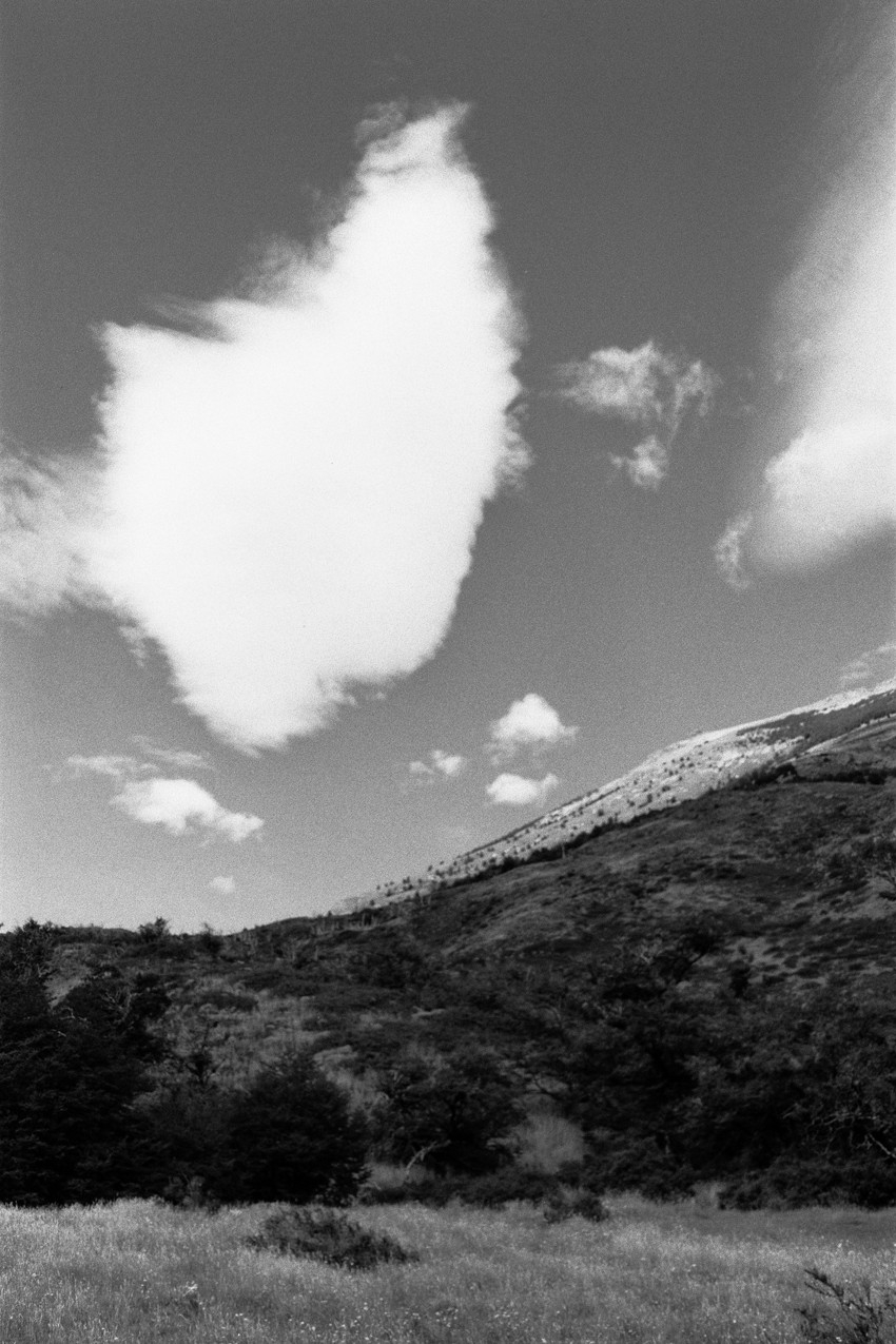 Black-and-white landscape: grassy foreground, tree-covered hillside, and a large bright cloud in the sky.