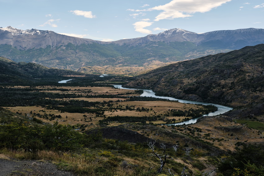 Winding river through broad valley, grassy plains, foreground shrubs, and snow-capped mountains under blue sky.
