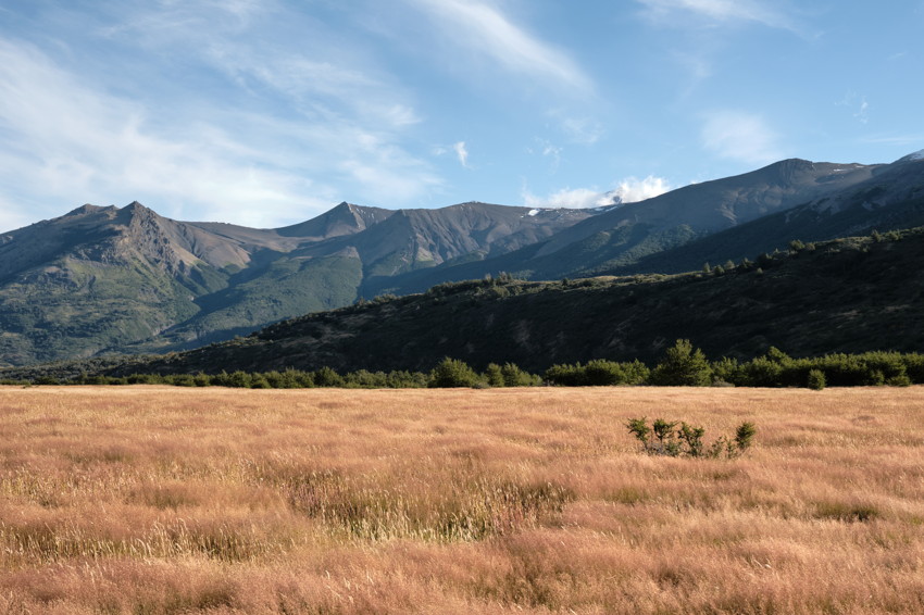Wide landscape: golden grass field with small shrub, dark tree line, mountains under blue sky.