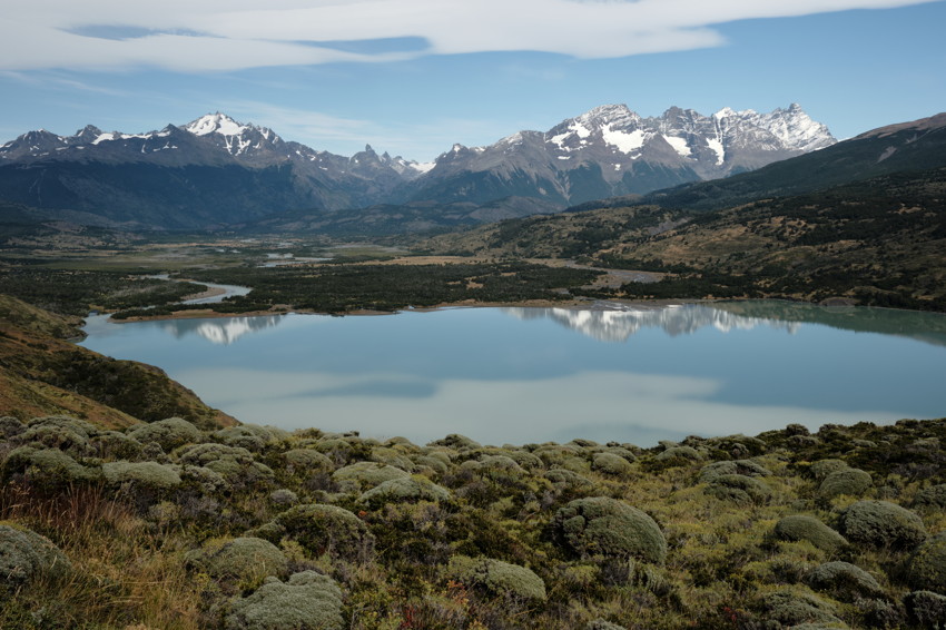 Low cushion shrubs foreground, reflective alpine lake midground, snow-capped mountain range under thin clouds.