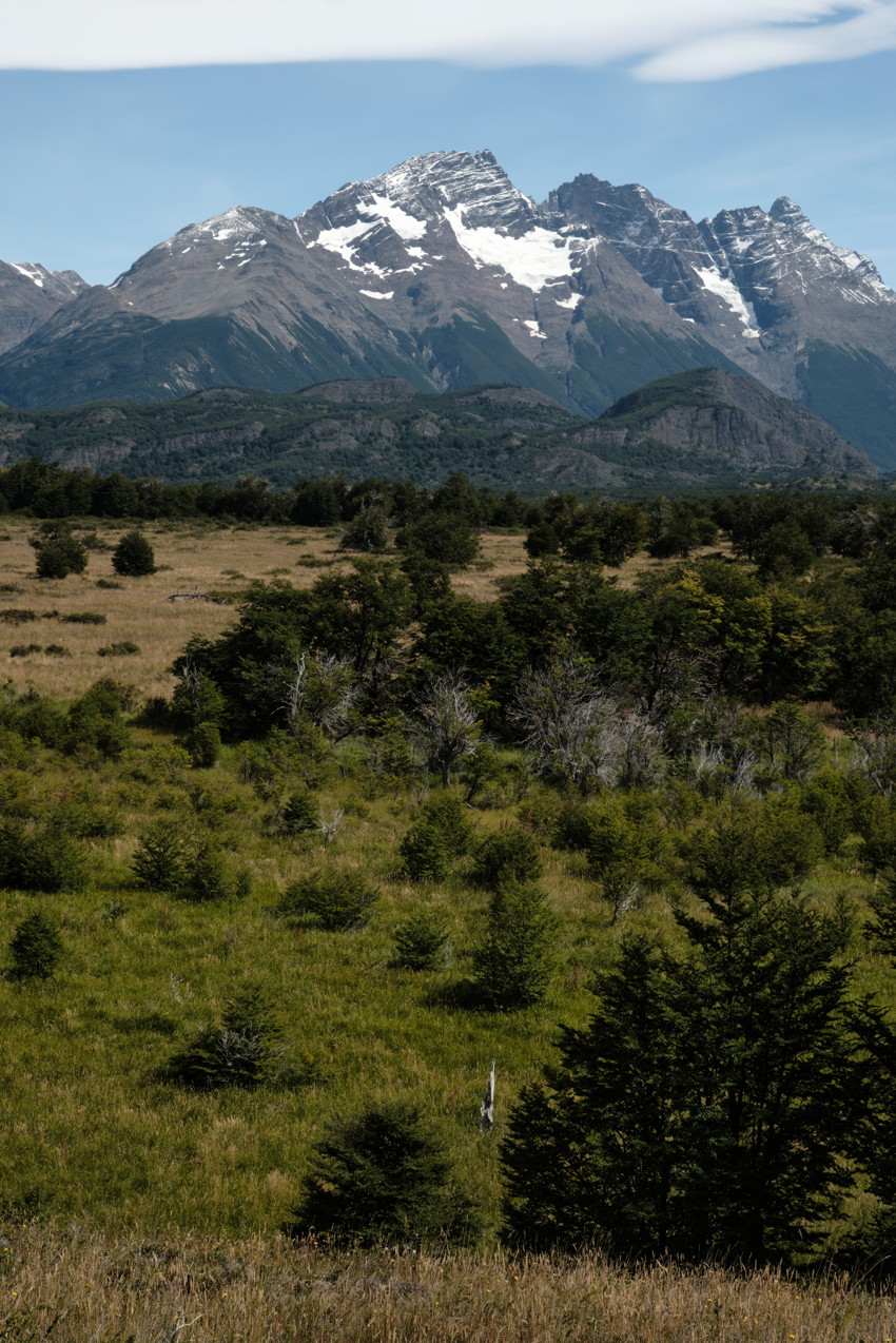 Vertical landscape: grassy foreground with scattered shrubs, midground trees and plains, snow-capped jagged mountains under blue sky.