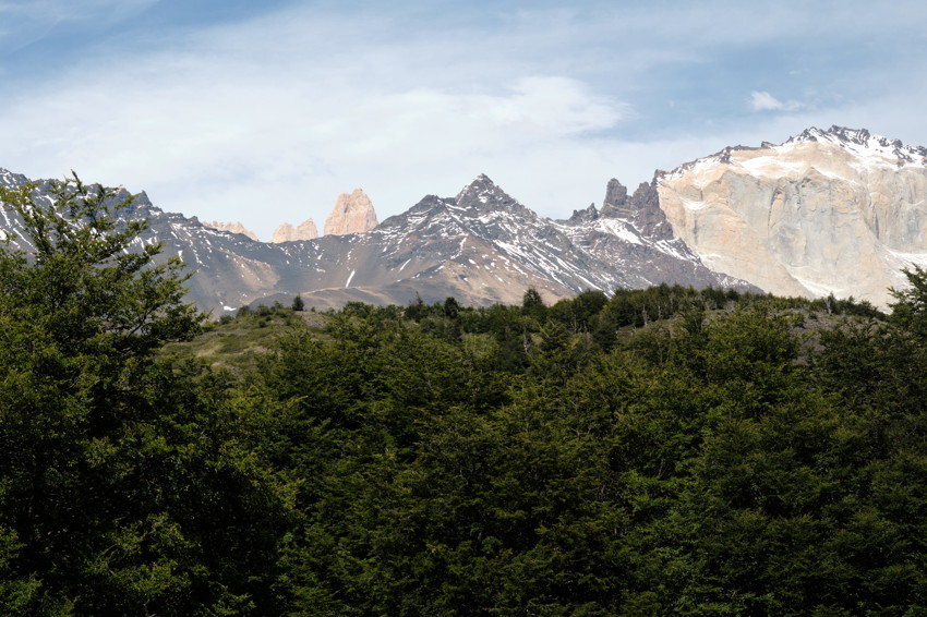 Snow-capped jagged mountains rising above dense green forest under a partly cloudy blue sky.