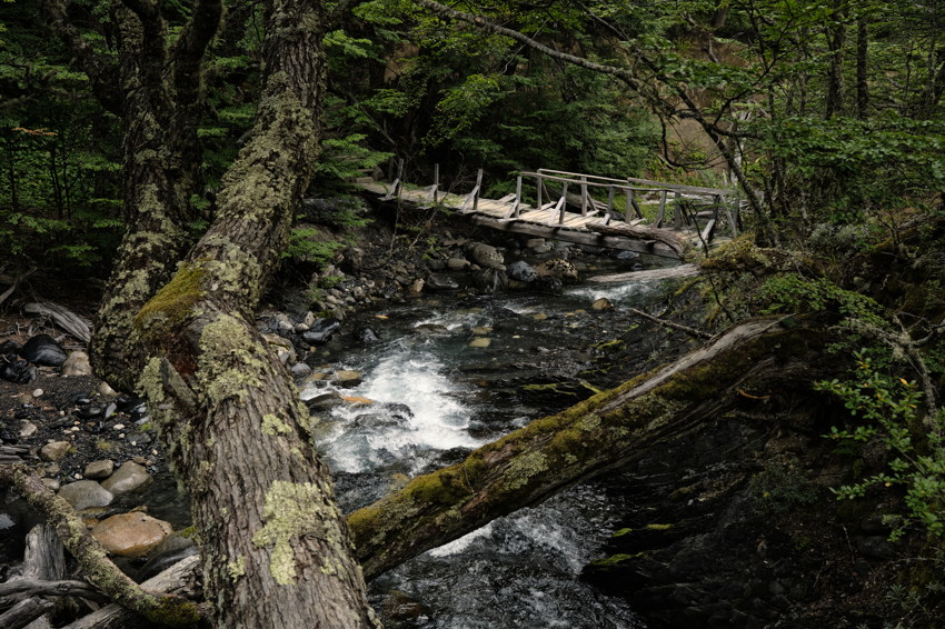 Forest stream with rushing water, moss-covered fallen logs in foreground and a rustic wooden footbridge in background.