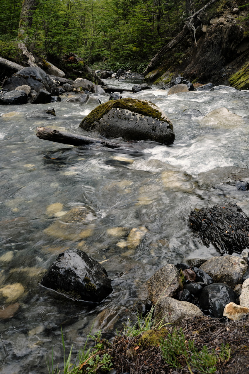 Fast-flowing stream running over mossy boulders and stones through a narrow forested ravine.