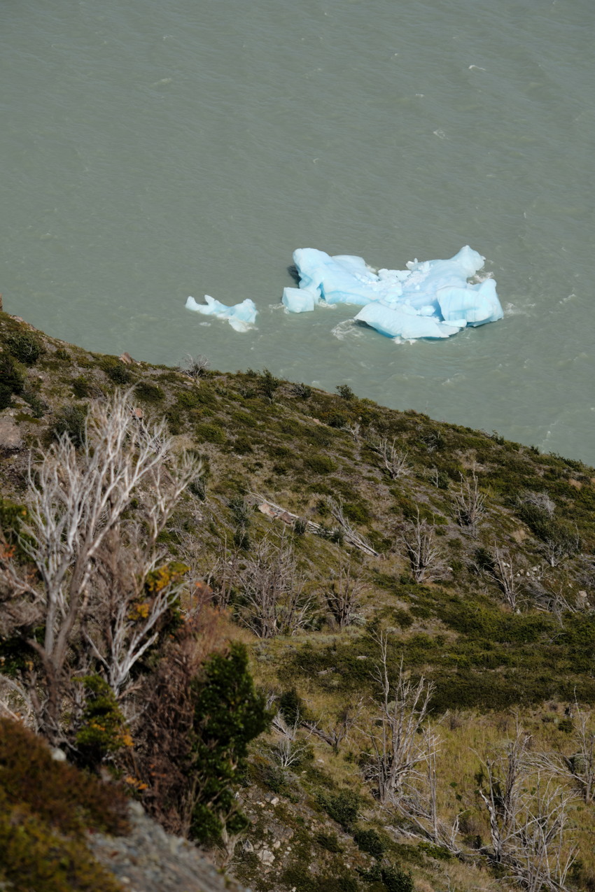 Hillside with sparse leafless trees and shrubs in foreground; pale-blue iceberg pieces floating on gray water.