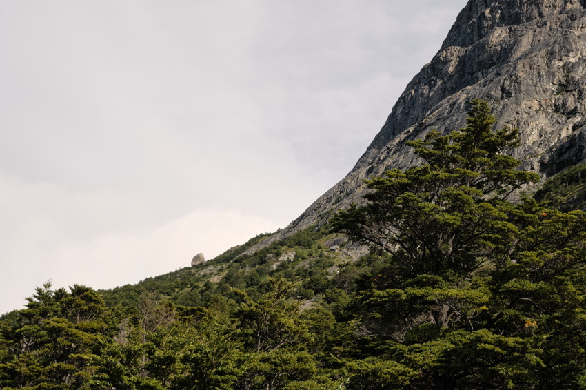 Steep rocky mountain slope at right with dense evergreen trees in foreground under overcast sky.
