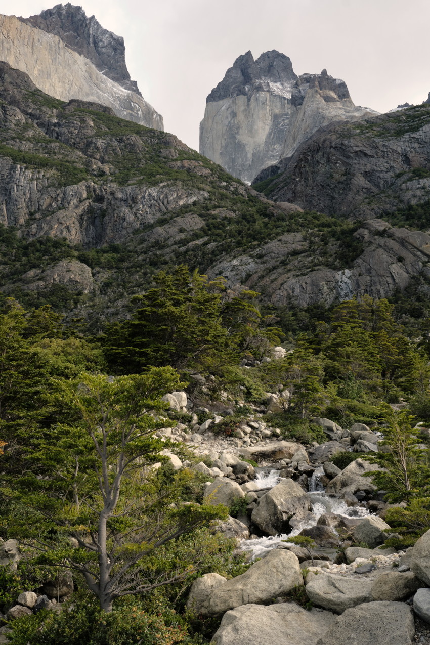 Stream and boulders leading through alpine trees toward sheer granite peaks under overcast sky.