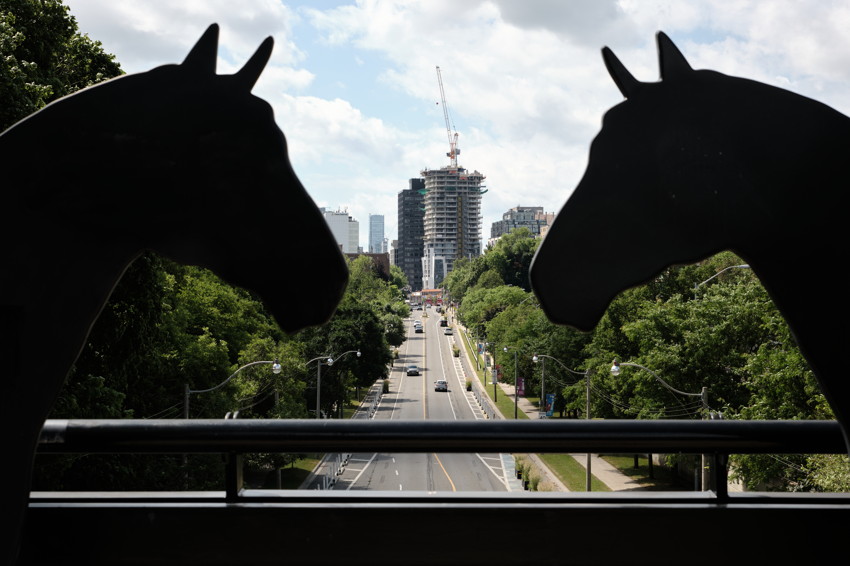 Two silhouetted horse heads frame a straight tree-lined road leading to a construction site and city buildings.