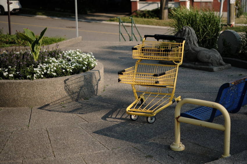 Yellow two-tier shopping cart on sidewalk beside concrete planter with white flowers, blue bench and stone lion sculpture.
