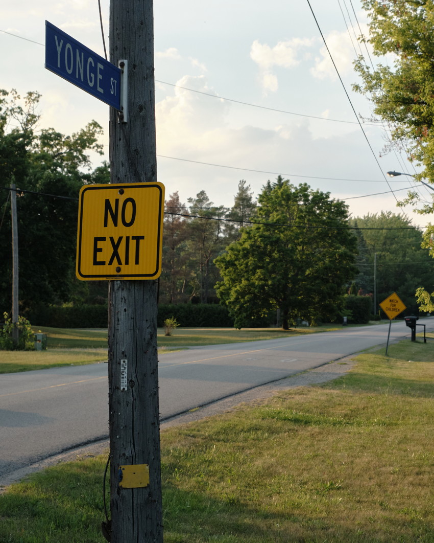 Utility pole with YONGE ST sign and yellow 'NO EXIT' sign beside quiet two-lane road, grassy verge and trees.